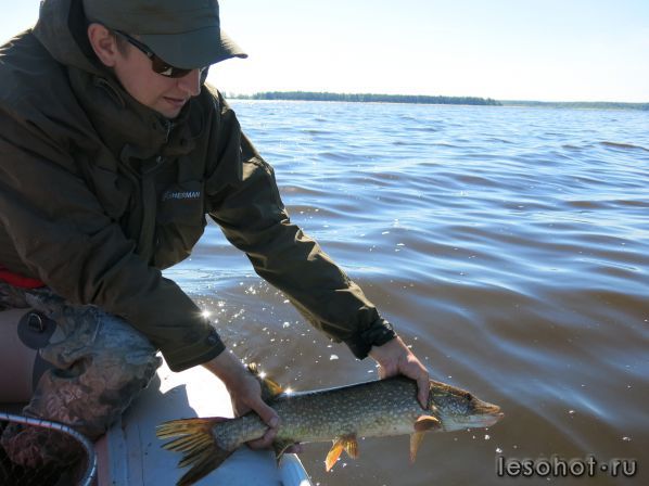IMG_3260.JPG