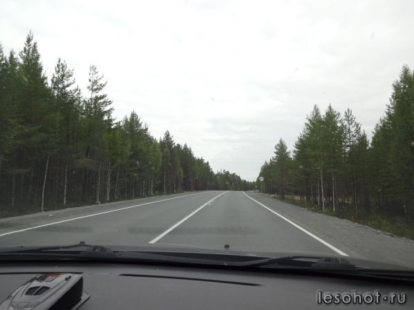 DSC02904.JPG