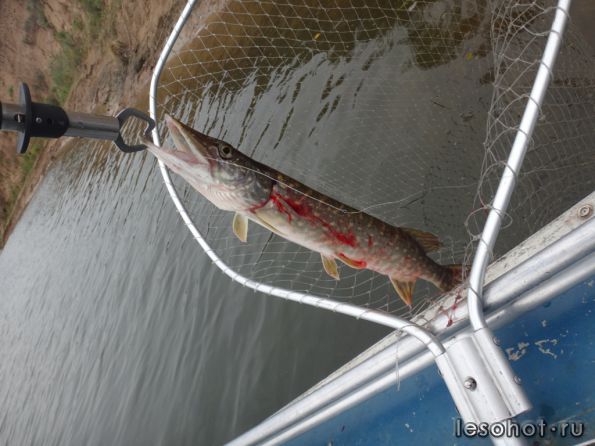 �������� 19.09.14 (6).JPG