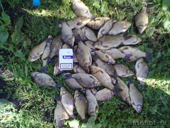 02072011006.jpg