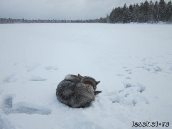 photo_00012.jpg
