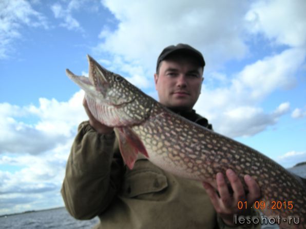 DSCN7020.JPG