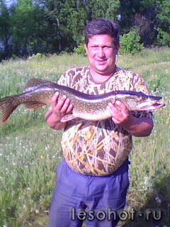 IMG0035A.jpg