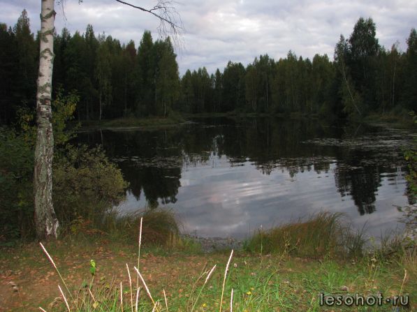 IMG_3070.JPG