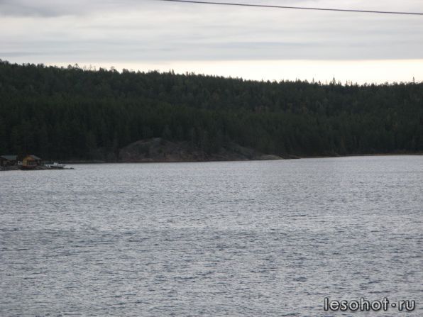 IMG_0956.JPG