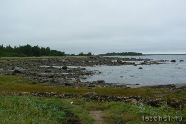 P1050299.JPG