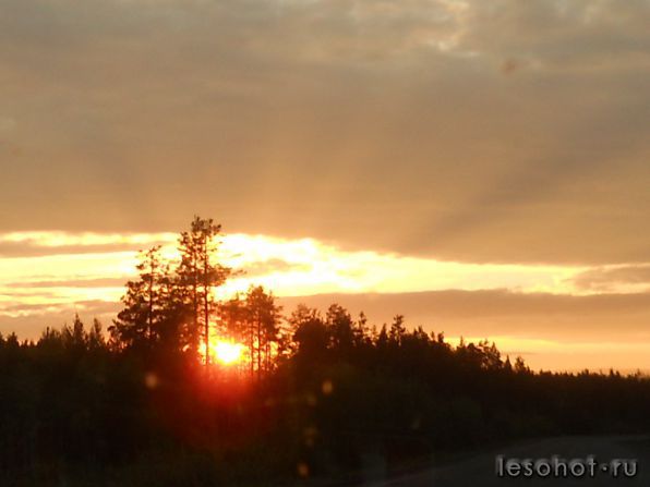 photo_00155.jpg