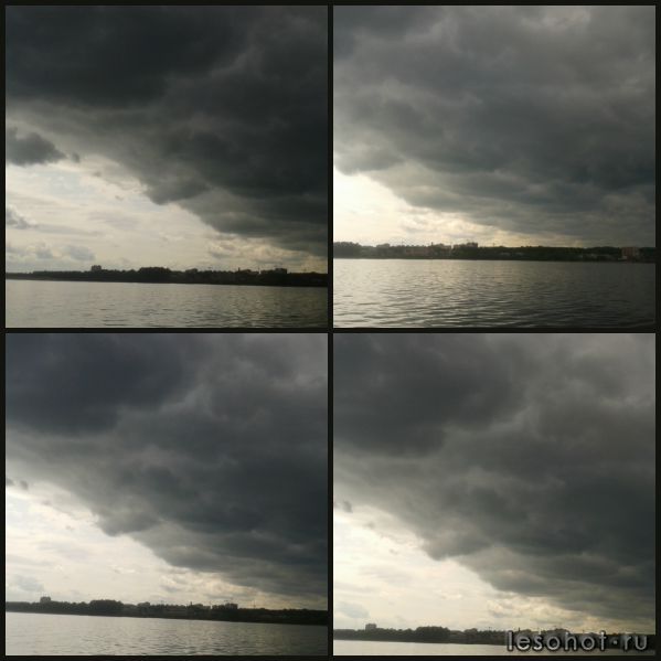 collage2.jpg