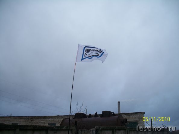  261.jpg