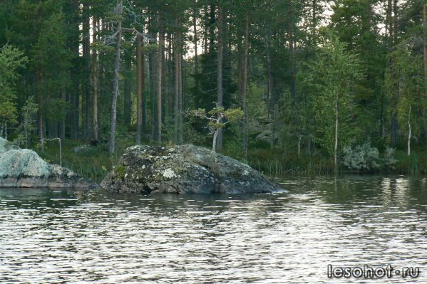 P1050259.JPG