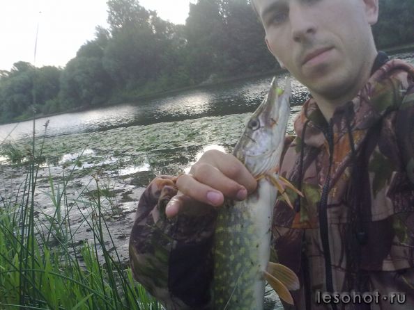 07082011248.jpg