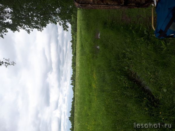 20180613_164813.jpg