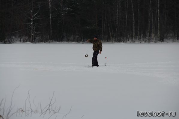 IMG_6580.JPG