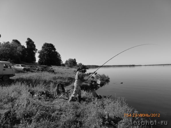 P1000272.JPG