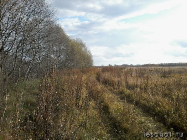 20141011_142730.jpg