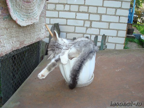 DSC01114.JPG