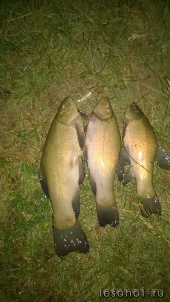 WP_20150705_001.jpg