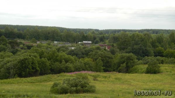 DSCN0975.JPG