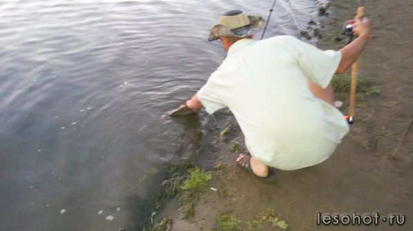 20140823_200634.jpg