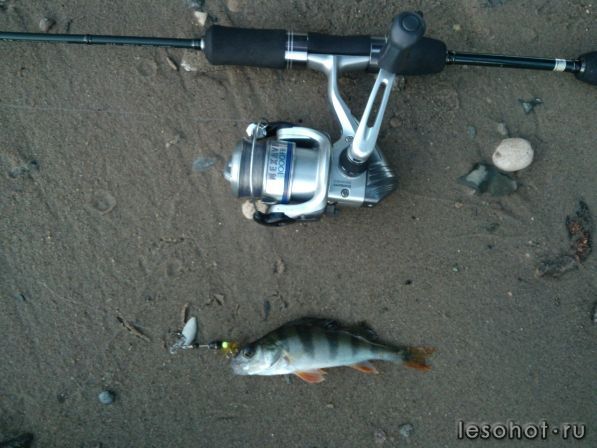 WP_000761.jpg