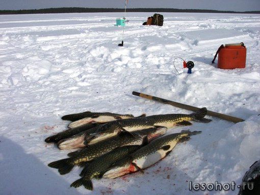 photo_00109.jpg