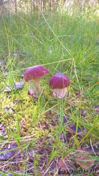 photo_00035.jpg
