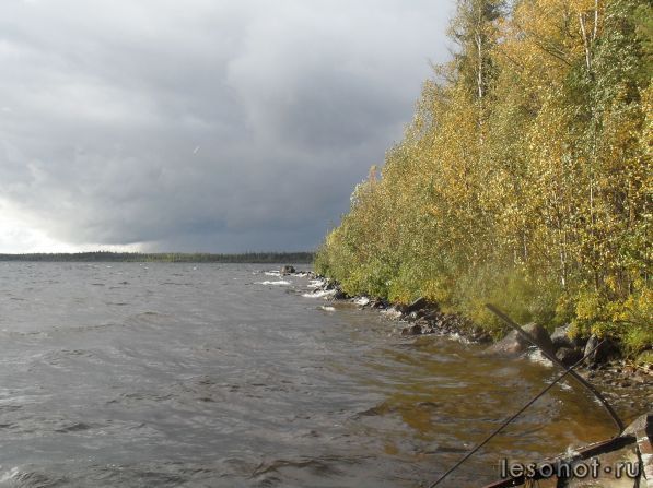 SDC10108.JPG