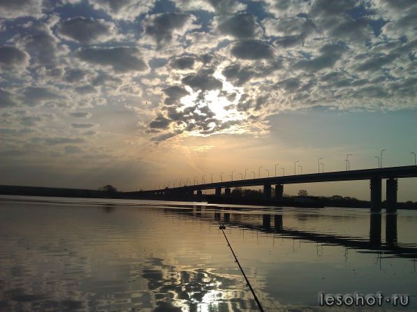 WP_001003.jpg