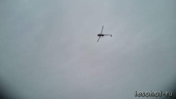 DSC_0030.JPG
