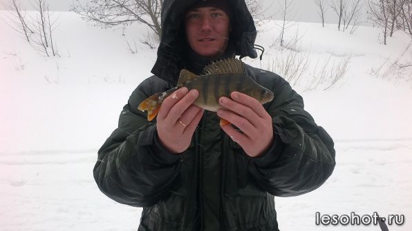 07042012005.jpg