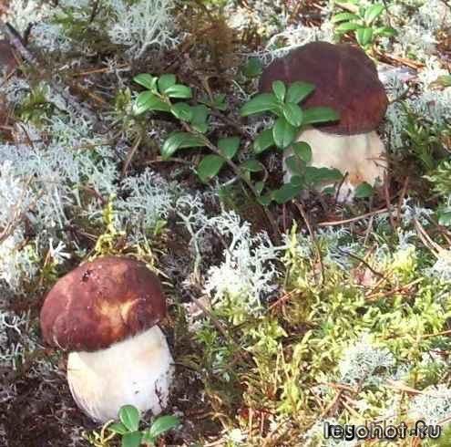photo_00016.jpg