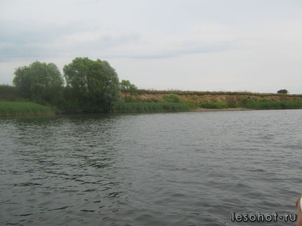  1036.jpg
