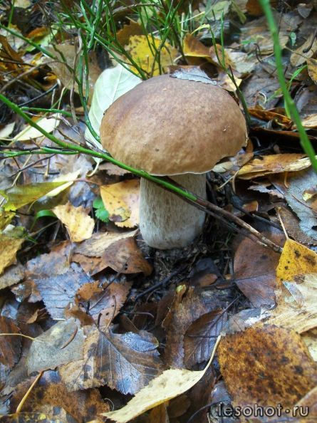 100_5546.JPG