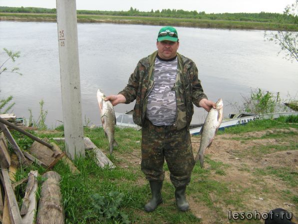  131.jpg