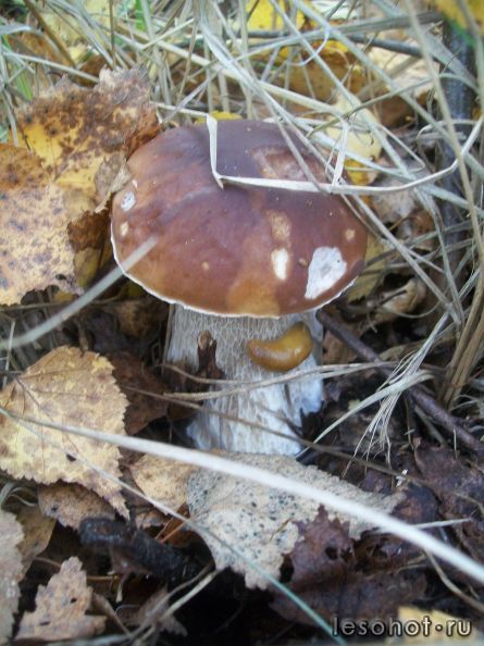 100_5444.JPG