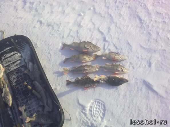 08032012104.jpg