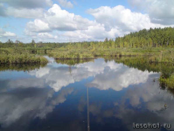 Озеро в Ульково