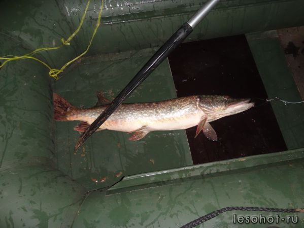 26.08.14�������� ��������-��������� ���. (7).JPG