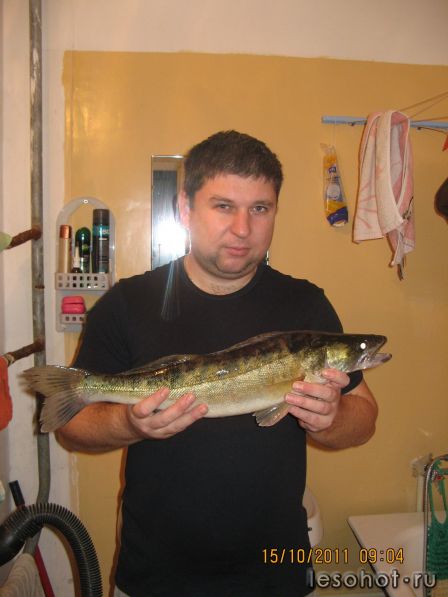 ����� 15.10.11