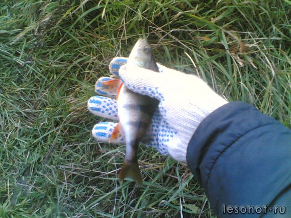 22102011(001).jpg