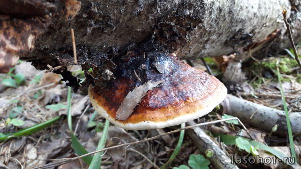 20180509_075923.jpg