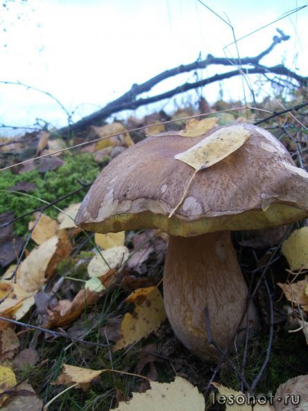 100_5450.JPG