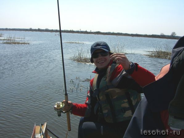 ���� ��������