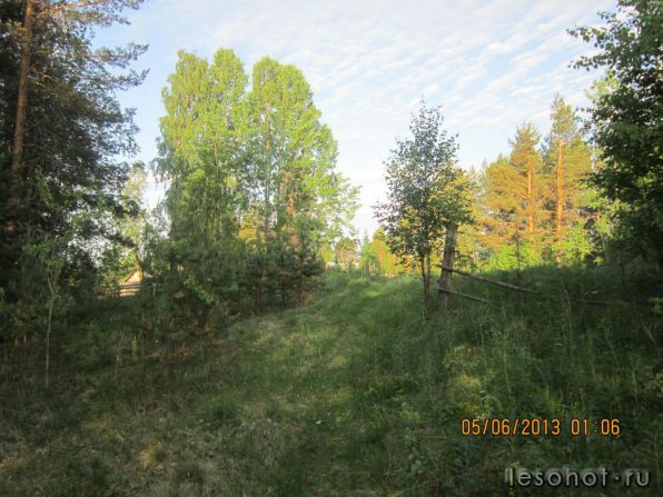 photo_00119.jpg