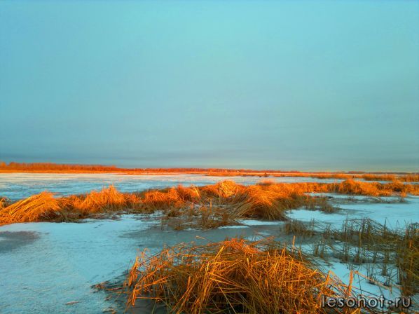 02122011527.jpg