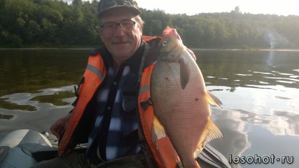 WP_20150717_003.jpg