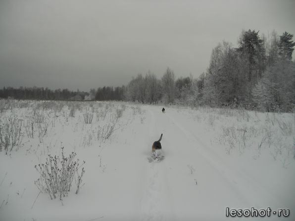 DSCN1443.jpg