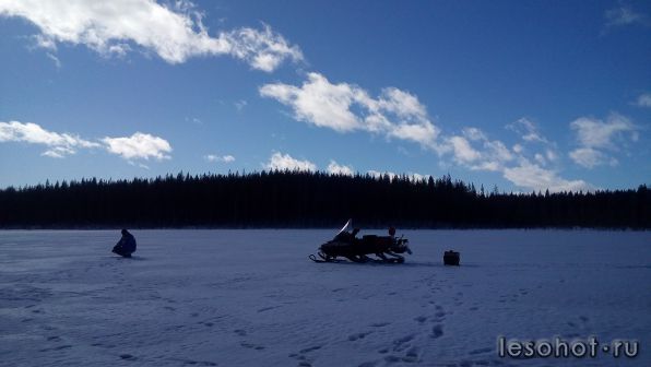 photo_00137.jpg