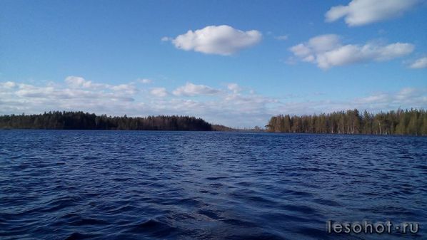 photo_00154.jpg