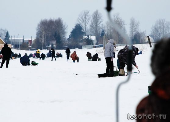 DSC_0002-1.JPG